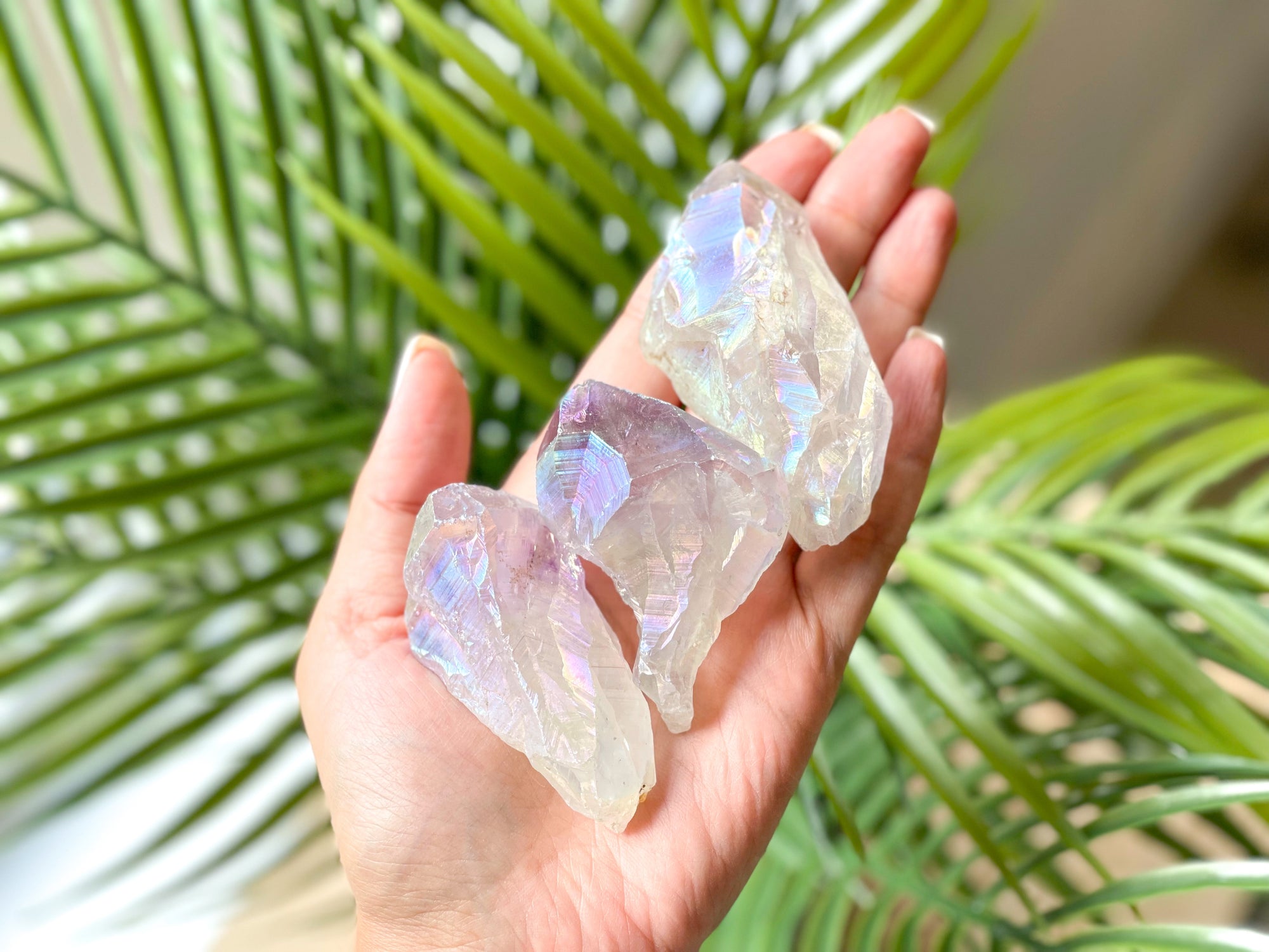 Angel Aura Amethyst Points: Unveiling the Radiant Wings of Spiritual Harmony