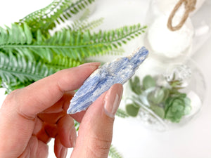Blue Kyanite Crystals : The Stones of Communication, Alignment, and Clarity