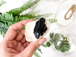 Black Tourmaline on Matrix: Raw Protection Crystals (1.5 to 2 inch)