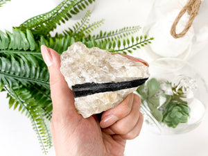 Black Tourmaline on Matrix: Raw Protection Crystals (1.5 to 2 inch)