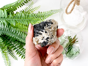 Black Tourmaline on Matrix: Raw Protection Crystals (1.5 to 2 inch)