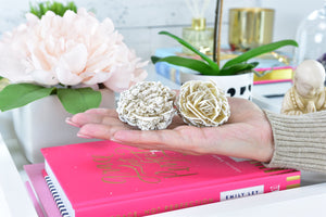 Selenite Desert Rose Cluster – Raw Healing Crystal – Spiritual Energy Stone – Meditation & Chakra Balance