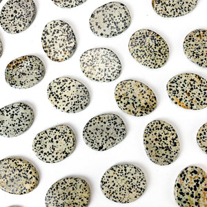 Dalmatian Jasper Palm Stone: Polished Worry Stone
