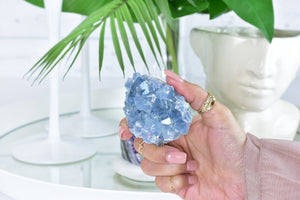 Raw Celestite Crystal Cluster: Madagascar Blue Healing Crystal