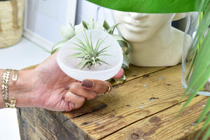 Selenite Charging Bowl: Crystal Cleansing, Altar Offering (4 Inch)