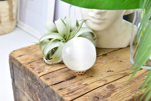 Glimmering Selenite Sphere: The Ultimate Healing Crystal Ball for Crown and Third Eye Chakra Activation