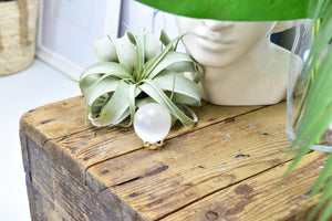 Glimmering Selenite Sphere: The Ultimate Healing Crystal Ball for Crown and Third Eye Chakra Activation