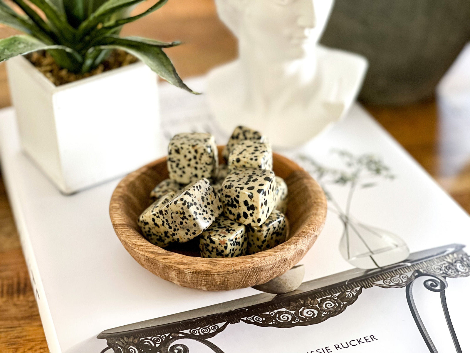 Dalmatian Jasper Crystal Cube: Polished Tumble Stone, Healing Crystals