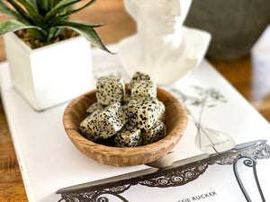 Dalmatian Jasper Crystal Cube: Polished Tumble Stone, Healing Crystals