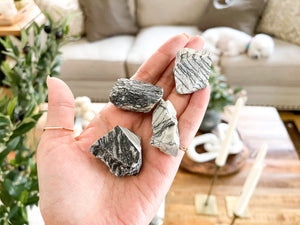 Raw Picasso Jasper Chunks: Rough Crystal for Collectors (1-2 inch)