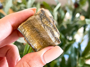 Raw Tigers Eye Chunks: Rough Crystal (1-2 inch)