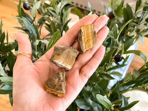 Raw Tigers Eye Chunks: Rough Crystal (1-2 inch)