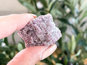 Raw Lepidolite Crystal: Calming Lilac Healing Stone (1-2 Inch)