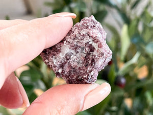 Raw Lepidolite Crystal: Calming Lilac Healing Stone (1-2 Inch)
