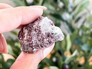 Raw Lepidolite Crystal: Calming Lilac Healing Stone (1-2 Inch)