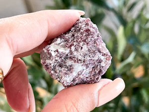 Raw Lepidolite Crystal: Calming Lilac Healing Stone (1-2 Inch)