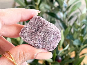 Raw Lepidolite Crystal: Calming Lilac Healing Stone (1-2 Inch)