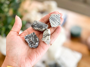 Raw Picasso Jasper Chunks: Rough Crystal for Collectors (1-2 inch)