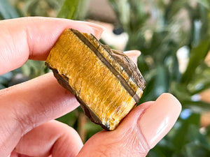 Raw Tigers Eye Chunks: Rough Crystal (1-2 inch)