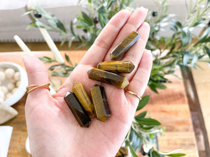 Tiger's Eye Double Terminated Points: Polished Crystal (1.5 inch)