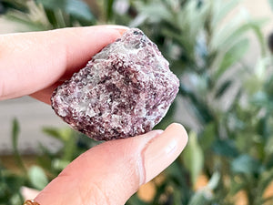 Raw Lepidolite Crystal: Calming Lilac Healing Stone (1-2 Inch)