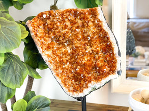 XL Citrine Crystal Cluster, The Sunshine Crystal for Abundance and Positivity