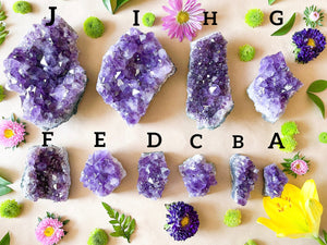 Raw Amethyst Crystal Cluster: Natural Purple Geode