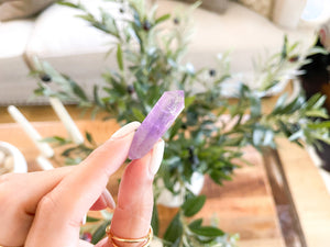 Amethyst Double Terminated Points: Healing Crystal, Spiritual Stone (1.5 inch)