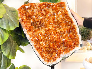 XL Citrine Crystal Cluster, The Sunshine Crystal for Abundance and Positivity