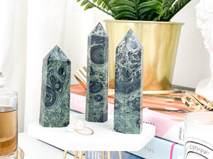 Kambaba Jasper Crystal Tower: Crocodile Jasper Point