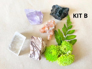 Crystal Starter Set: 22-Piece Healing Stone Collection