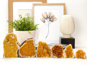 Citrine Crystal Cluster: Raw Honey Quartz, Stone of Abundance