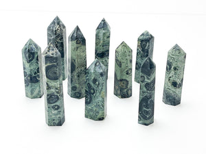 Kambaba Jasper Crystal Tower: Crocodile Jasper Point