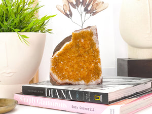 Citrine Crystal Cluster: Raw Honey Quartz, Stone of Abundance