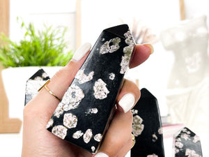 Snowflake Obsidian Crystal Tower Point: Spiritual Healing Stone