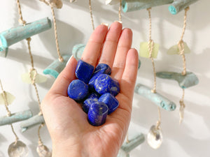 Small yet Mighty: The Powerful Tumbled Lapis Lazuli Crystals"