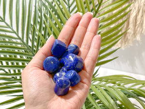 Small yet Mighty: The Powerful Tumbled Lapis Lazuli Crystals"