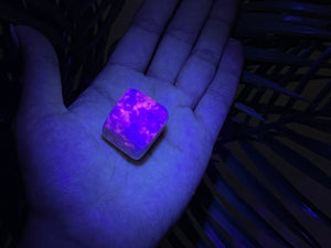 UV Reactive Hackmanite Tumbled Crystals: Rare Fluorescent Gemstone