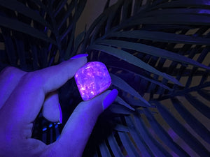 UV Reactive Hackmanite Tumbled Crystals: Rare Fluorescent Gemstone