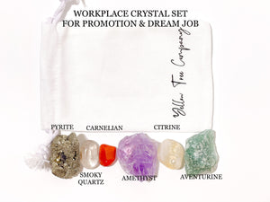 Crystal Set for Career Success Carnelian Amethyst Pyrite Aventurine, Citrine and Smoky Quartz