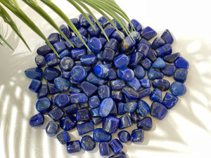 Small yet Mighty: The Powerful Tumbled Lapis Lazuli Crystals"