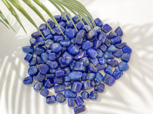 Small yet Mighty: The Powerful Tumbled Lapis Lazuli Crystals"