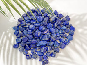 Small yet Mighty: The Powerful Tumbled Lapis Lazuli Crystals"