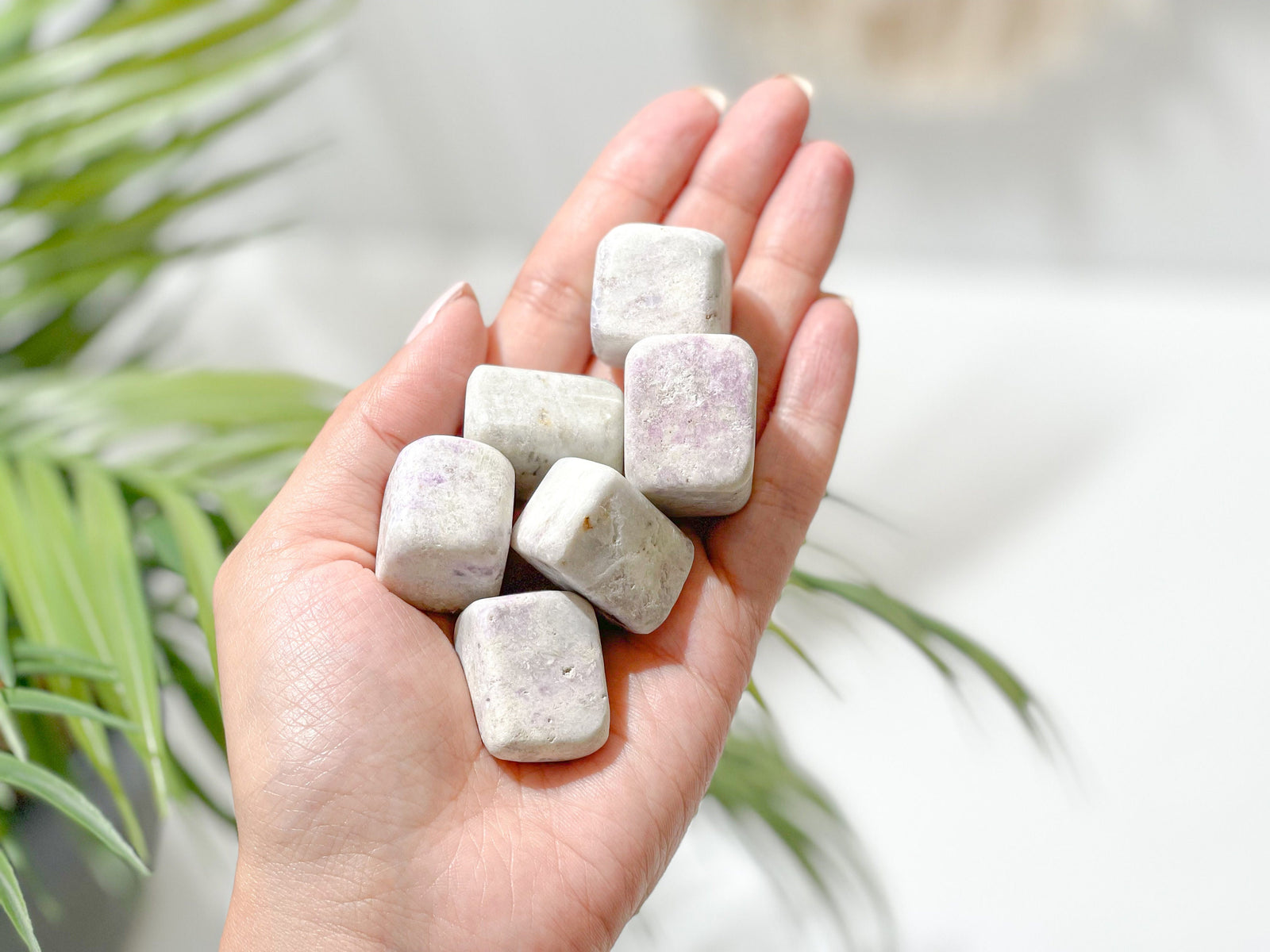 UV Reactive Hackmanite Tumbled Crystals: Rare Fluorescent Gemstone