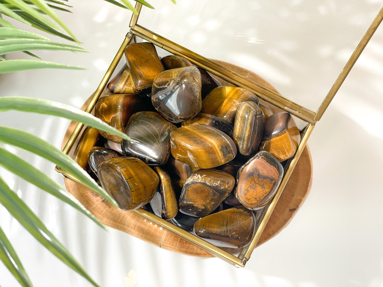 Tiger Eye Tumbled Crystals: Enhance Your Life with the Power of Manifestation and Healing