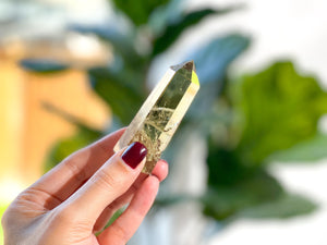 Citrine & Aventurine Crystal Set: Abundance, Prosperity, Wealth