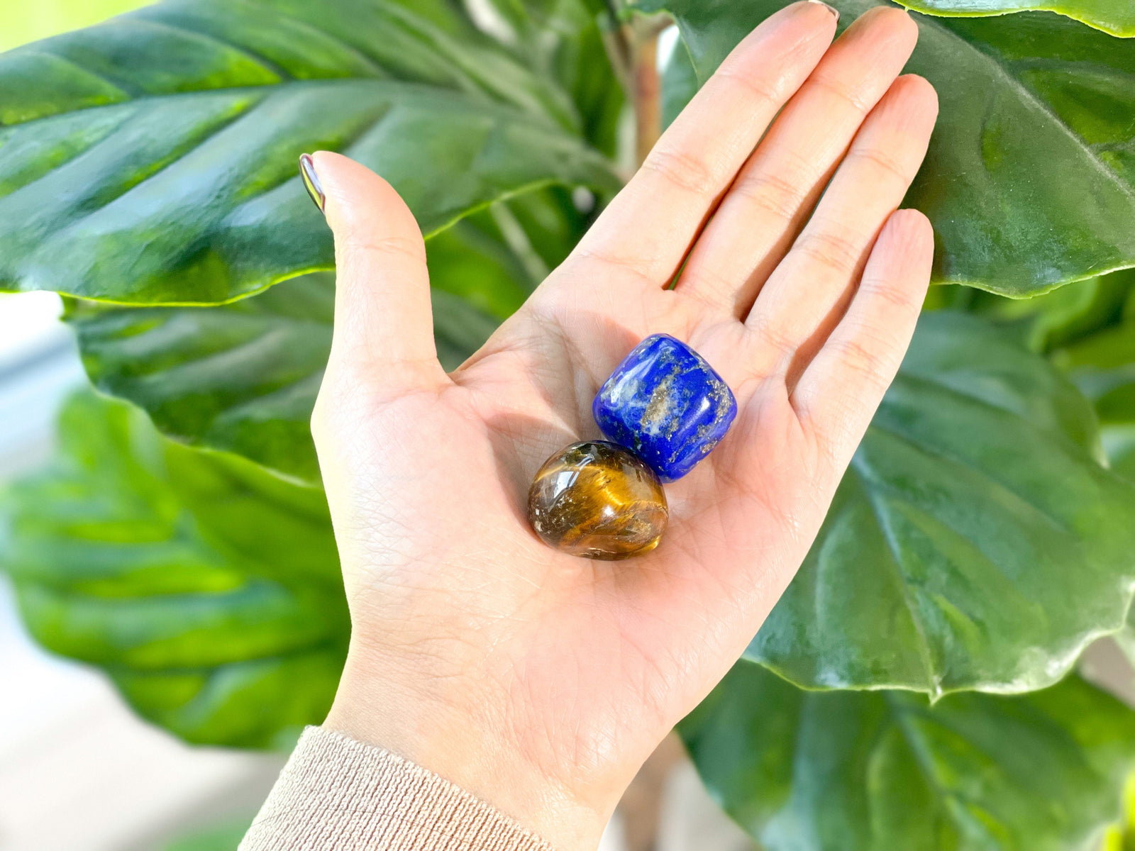 The Power Duo Lapis Lazuli and Tigers Eye Healing Crystal Set for Balance and Protection