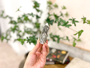 Amethyst & Thousand Eye Jasper Crystal Set: Healing Stones Combo