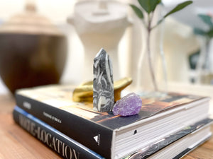 Amethyst & Thousand Eye Jasper Crystal Set: Healing Stones Combo