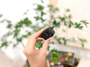 Thousand Eye Jasper Point and Black Tourmaline Chunk Crystal Combo for Grounding and Protection